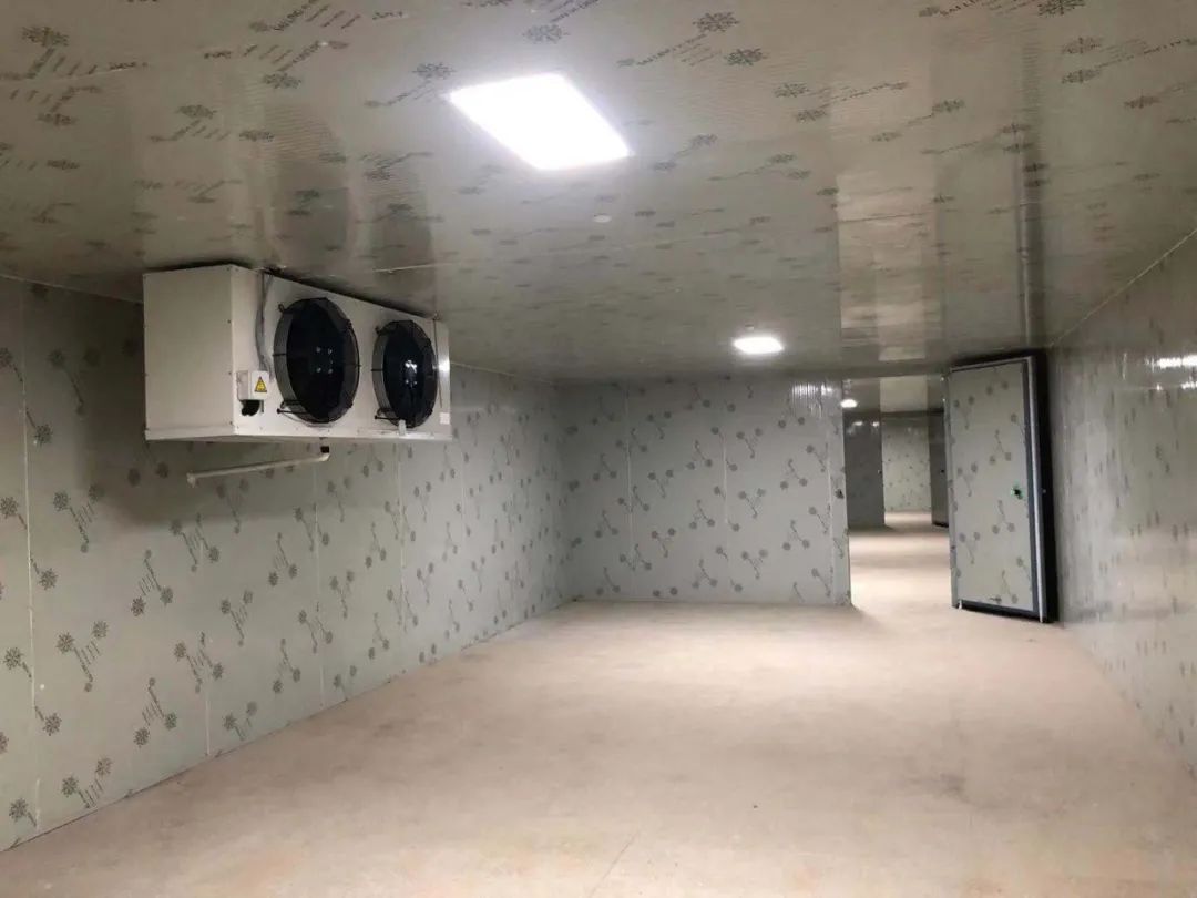 怀仁气调保鲜冷库造价